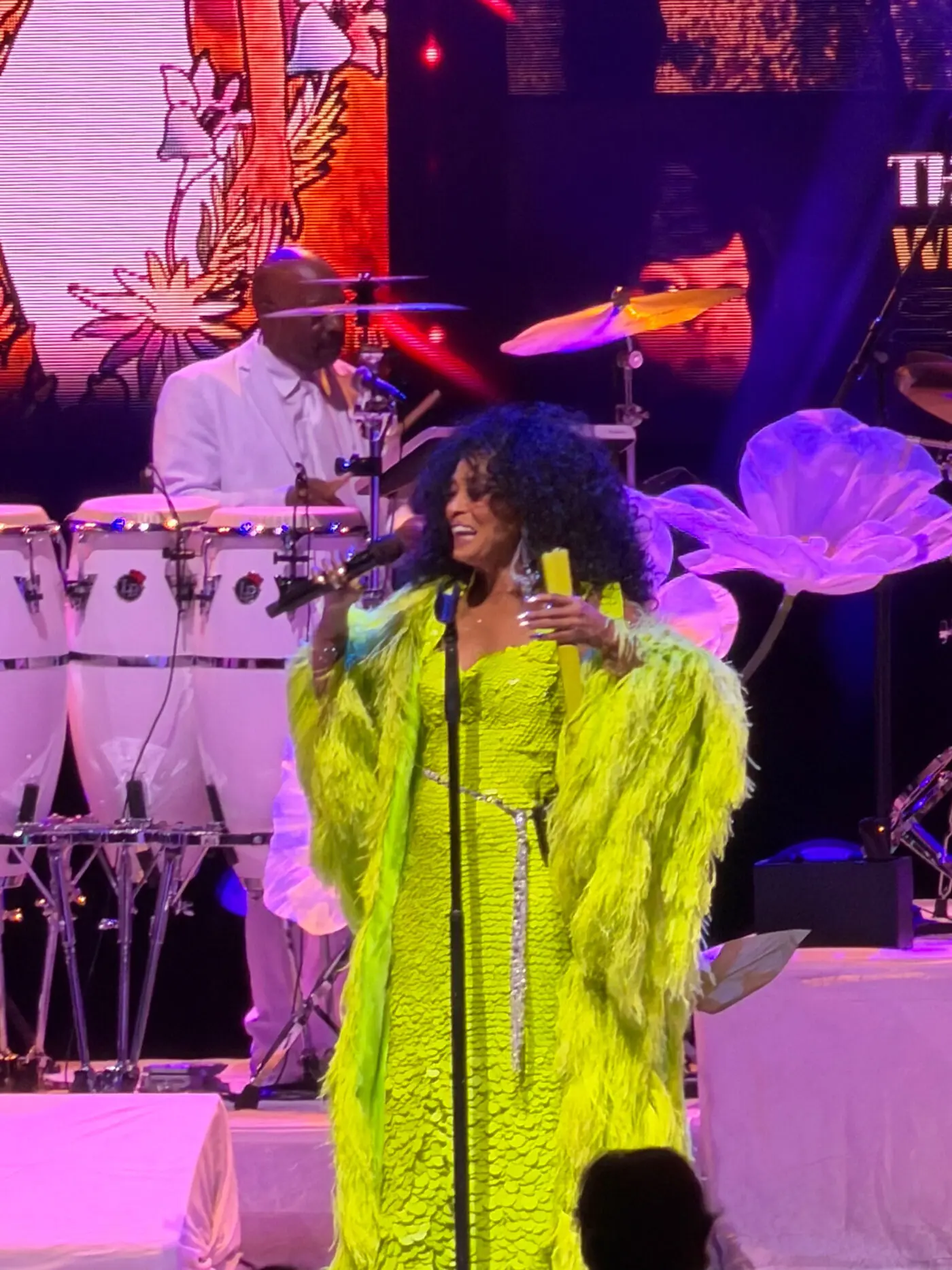 Diana Ross @ Filene Center at the Wolf Trap, Vienna, VA - ReadJunk.com
